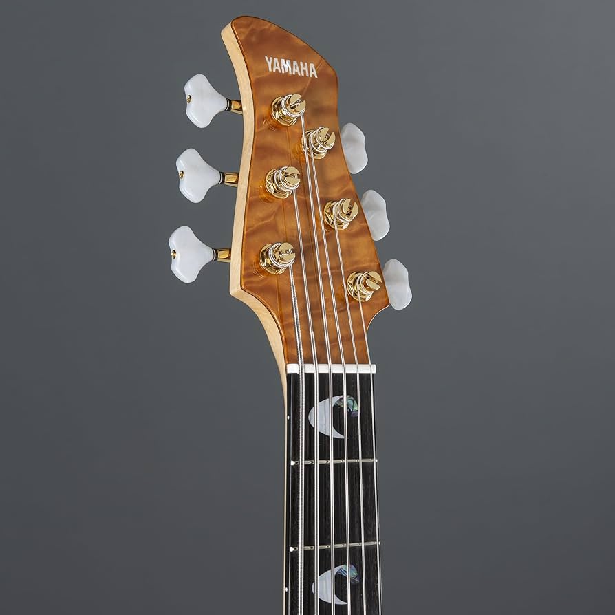 Amazon | YAMAHA TRBJP2 AW 6弦 エレキベース ジョン